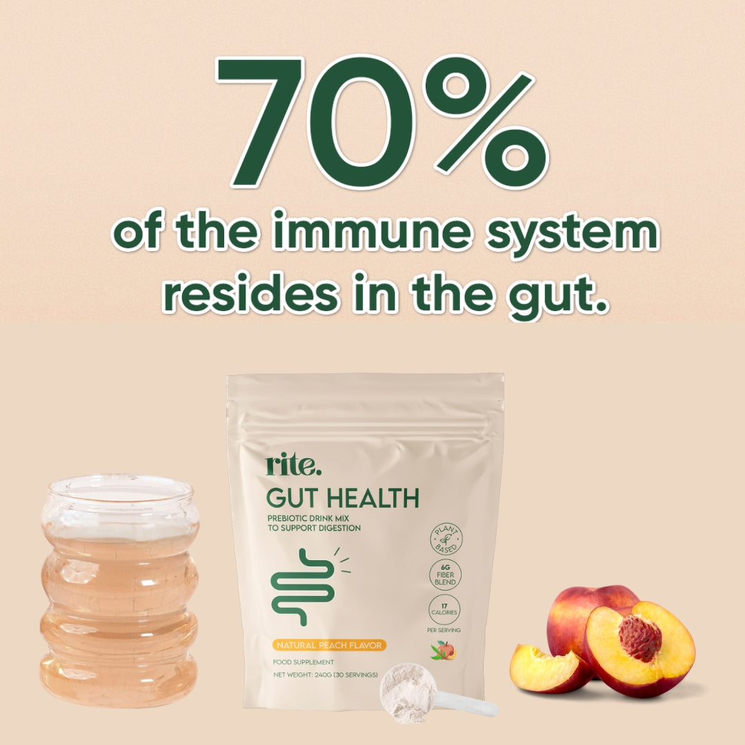 GUT HEALTH Prebiotic – No Bloating Anymore – Wellness Drink Mix for Digestion by rite. – 30 Servings – Natural Guava & Peach flavours | No After-Taste | Easy to Drink & Delicious – Gut Health Supplements – Apple Cider Vinegar – The Angel Method