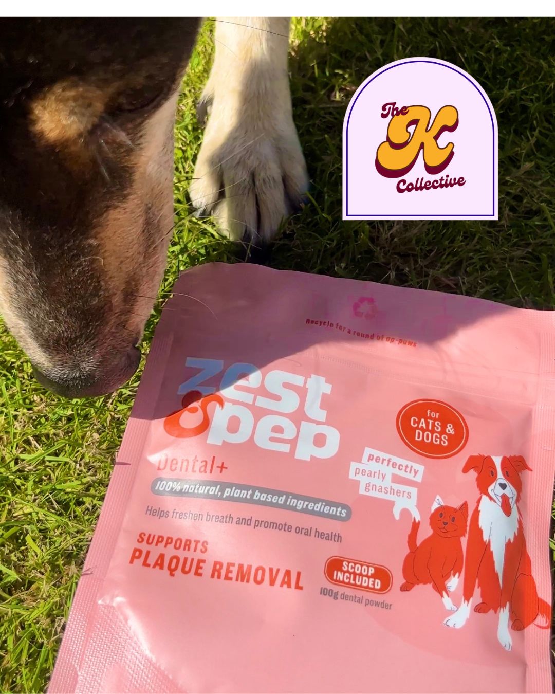 Dental+ Powder For Cats & Dogs