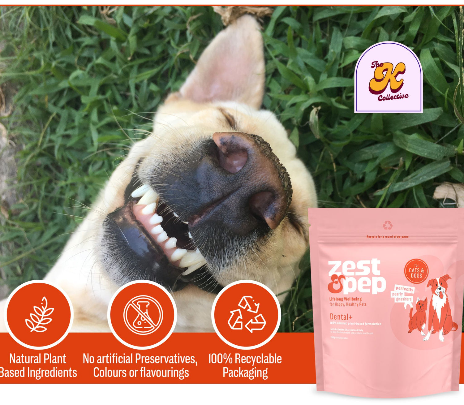 Dental+ Powder For Cats & Dogs
