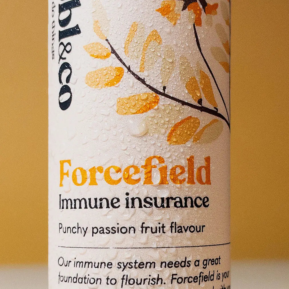 Bubbl & Co Wellness formulas (10 Drinks) | Daily Support for Focus, Sleep, Energy & Immunity - enara Wellness