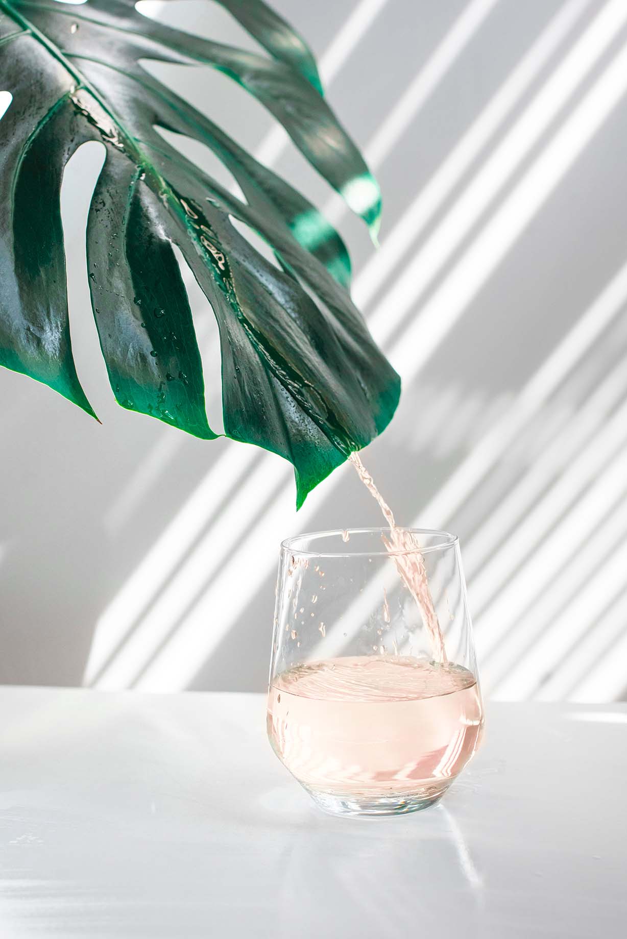 Bubbl & Co All rounder| Reset | Pause | Forcefield | Clarity (40 Drinks) + Free Bottle - The Angel Method