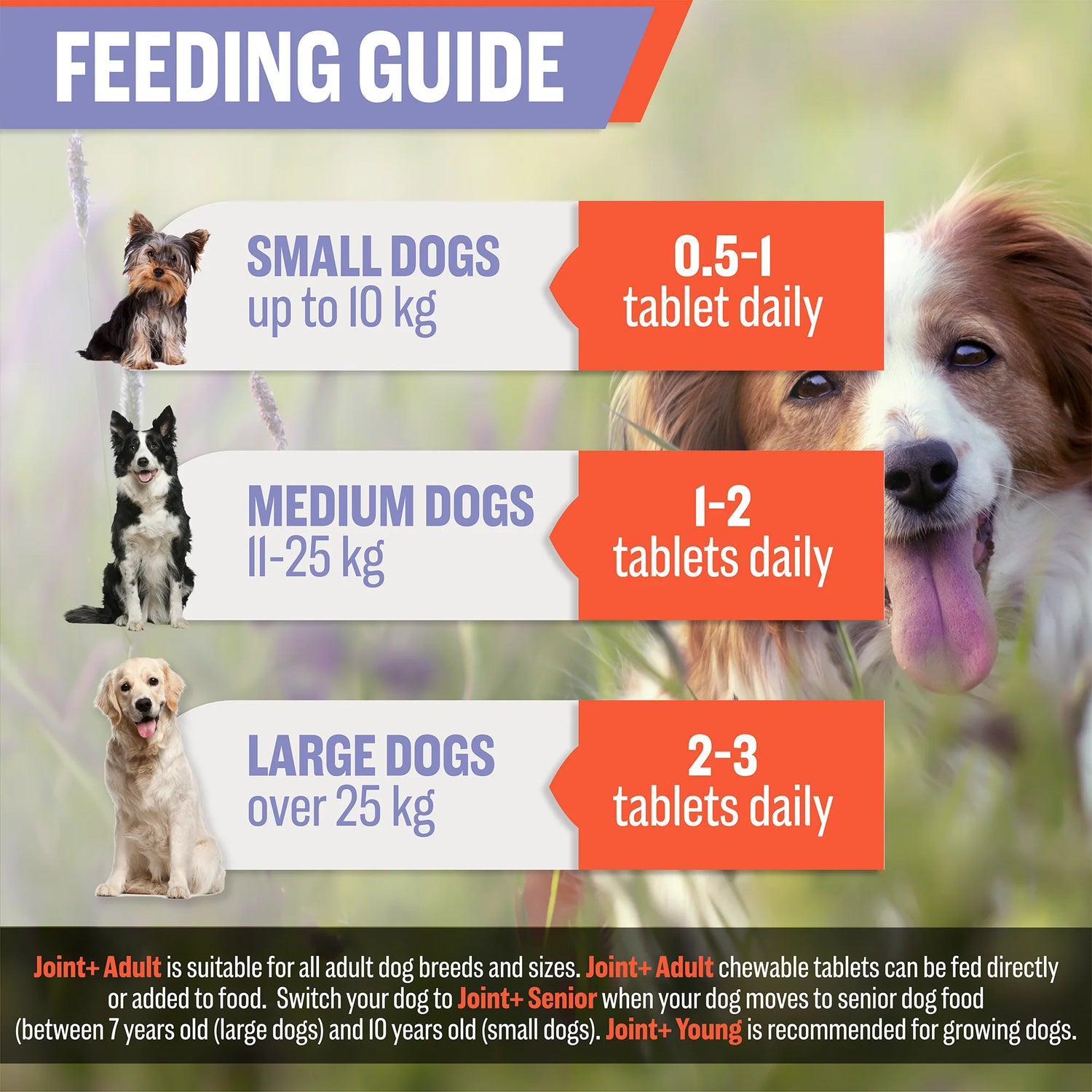 Joint & Hip Supplement For Adult Dogs