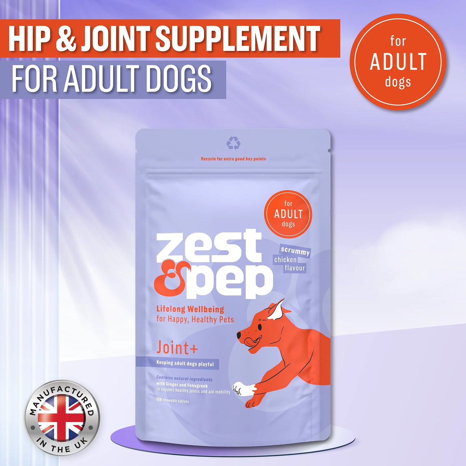 Joint & Hip Supplement For Adult Dogs