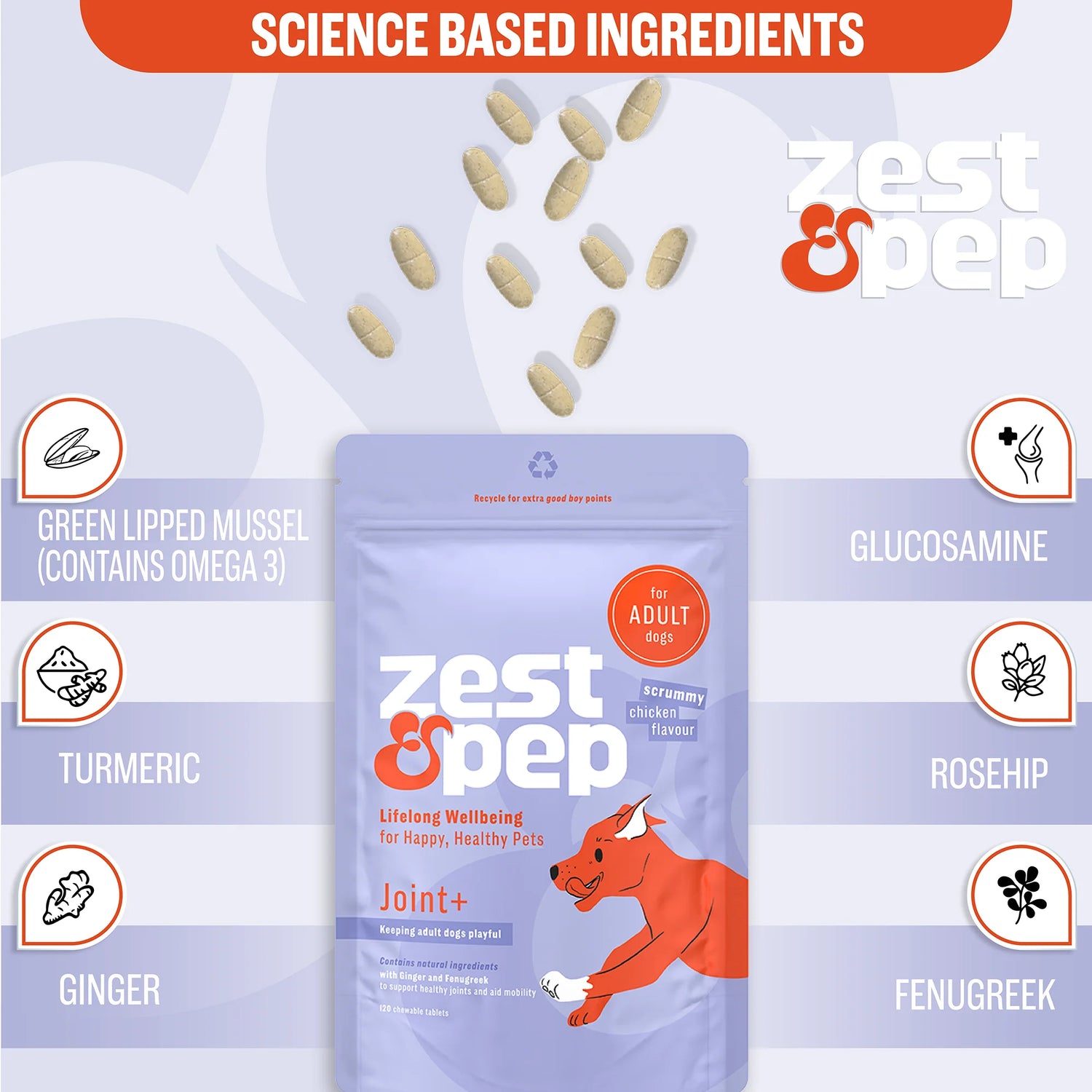 Joint & Hip Supplement For Adult Dogs
