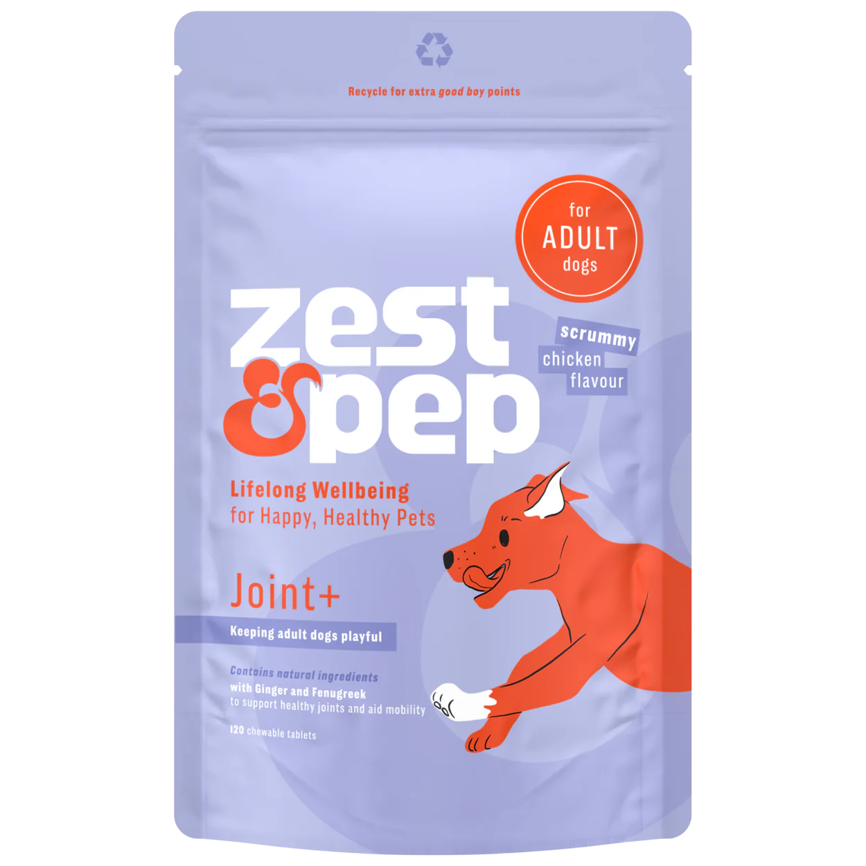 Joint & Hip Supplement For Adult Dogs