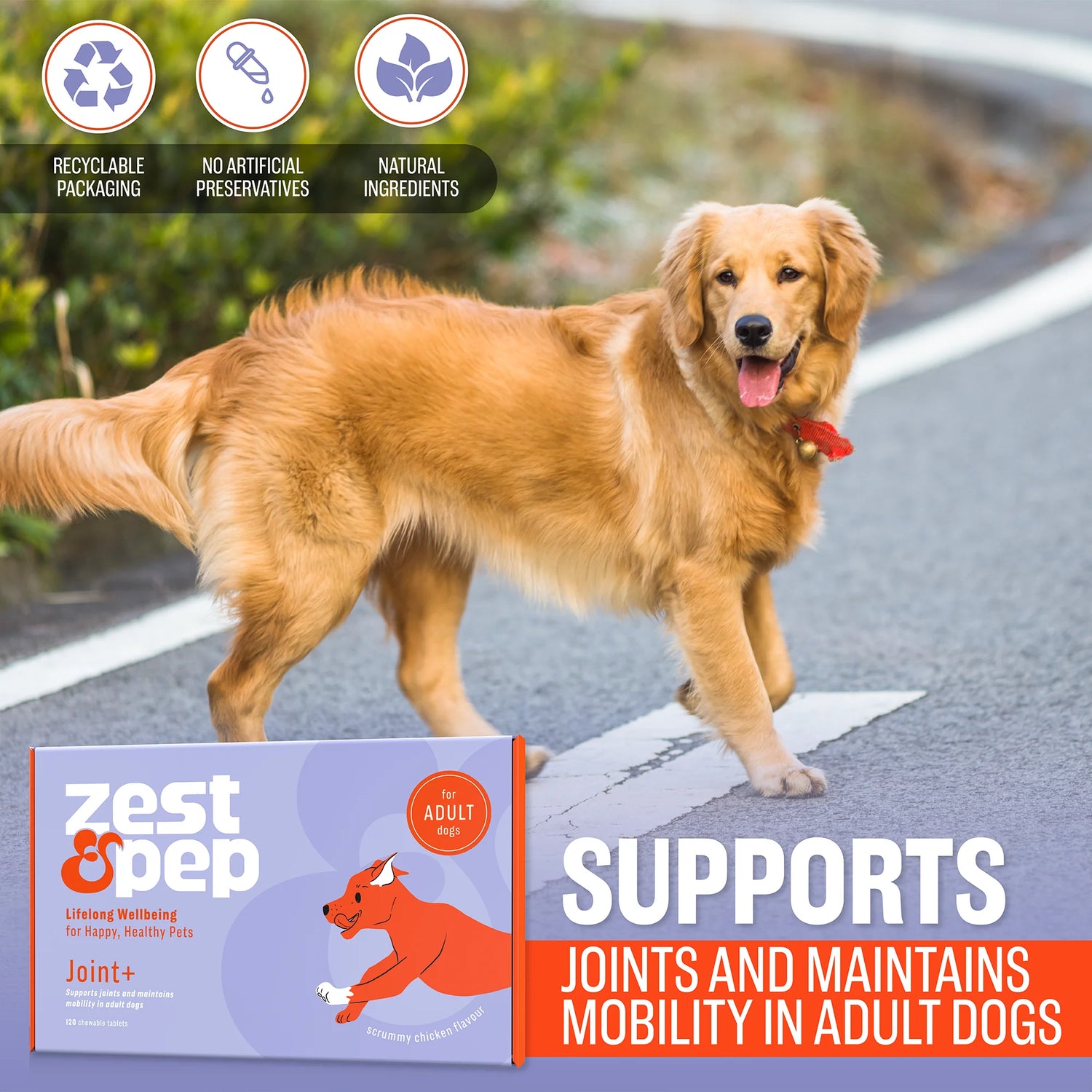 Joint & Hip Supplement For Adult Dogs