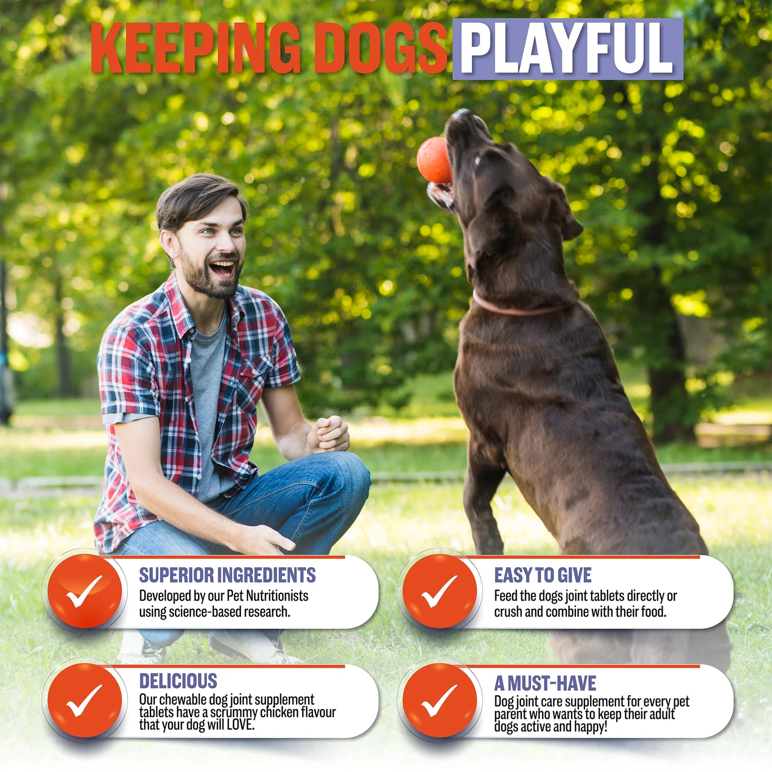 Joint & Hip Supplement For Adult Dogs