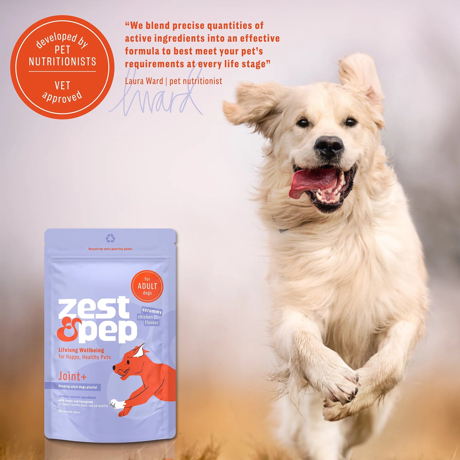 Joint & Hip Supplement For Adult Dogs