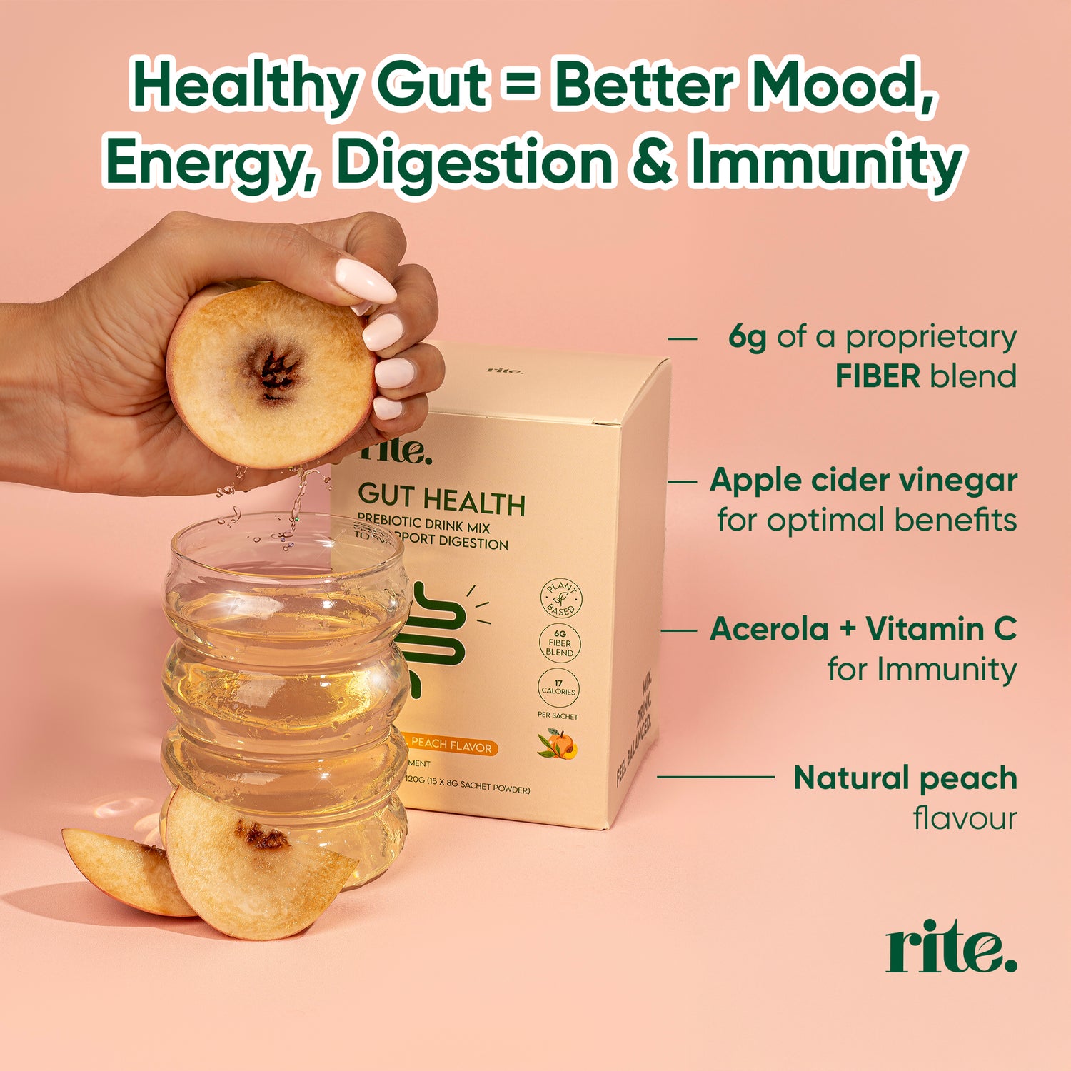 GUT HEALTH Prebiotic – No Bloating Anymore – Wellness Drink Mix for Digestion by rite. – 30 Servings – Natural Guava & Peach flavours | No After-Taste | Easy to Drink & Delicious – Gut Health Supplements – Apple Cider Vinegar – The Angel Method