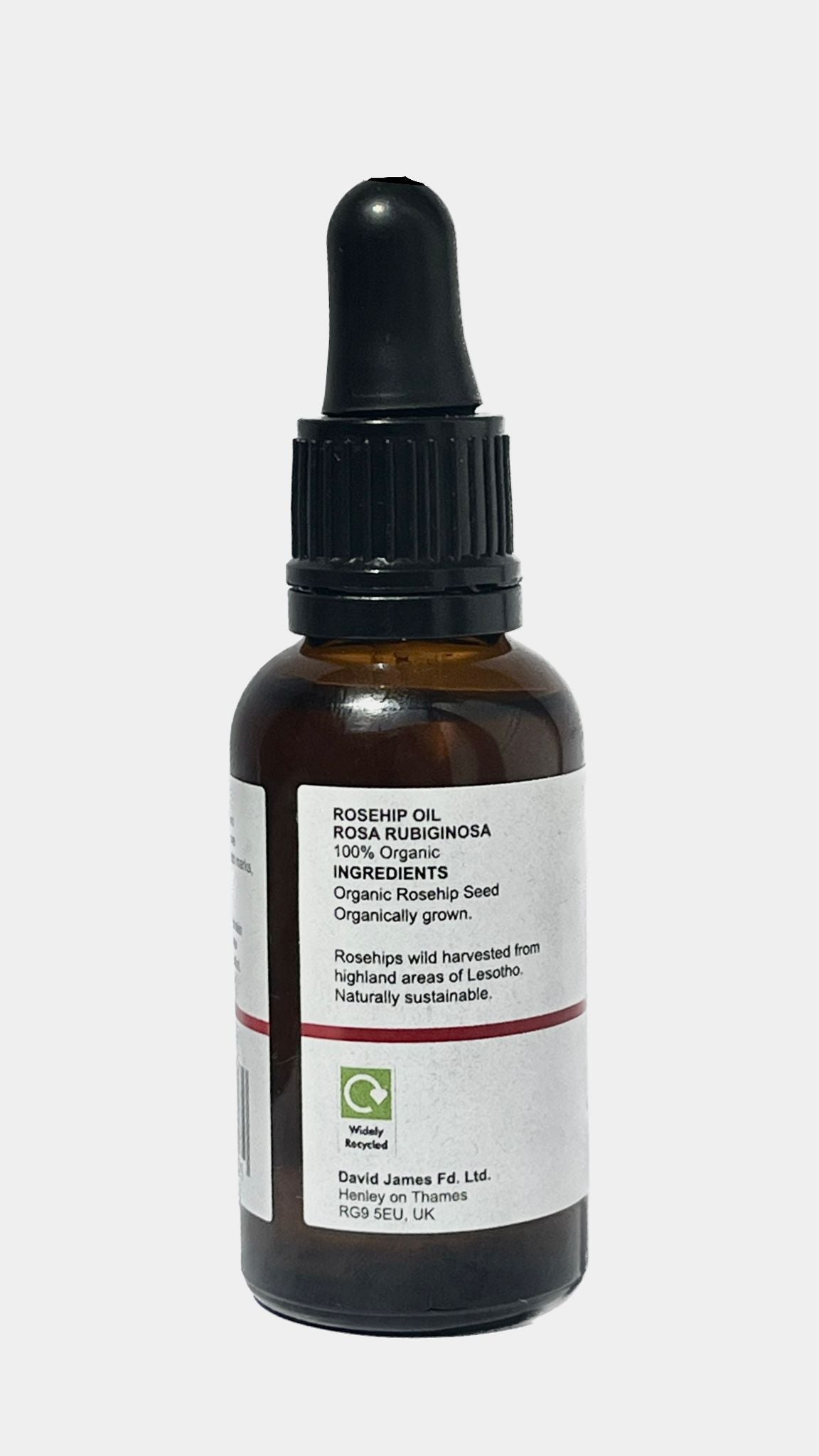 Rosehip Rubiginosa Seed Oil