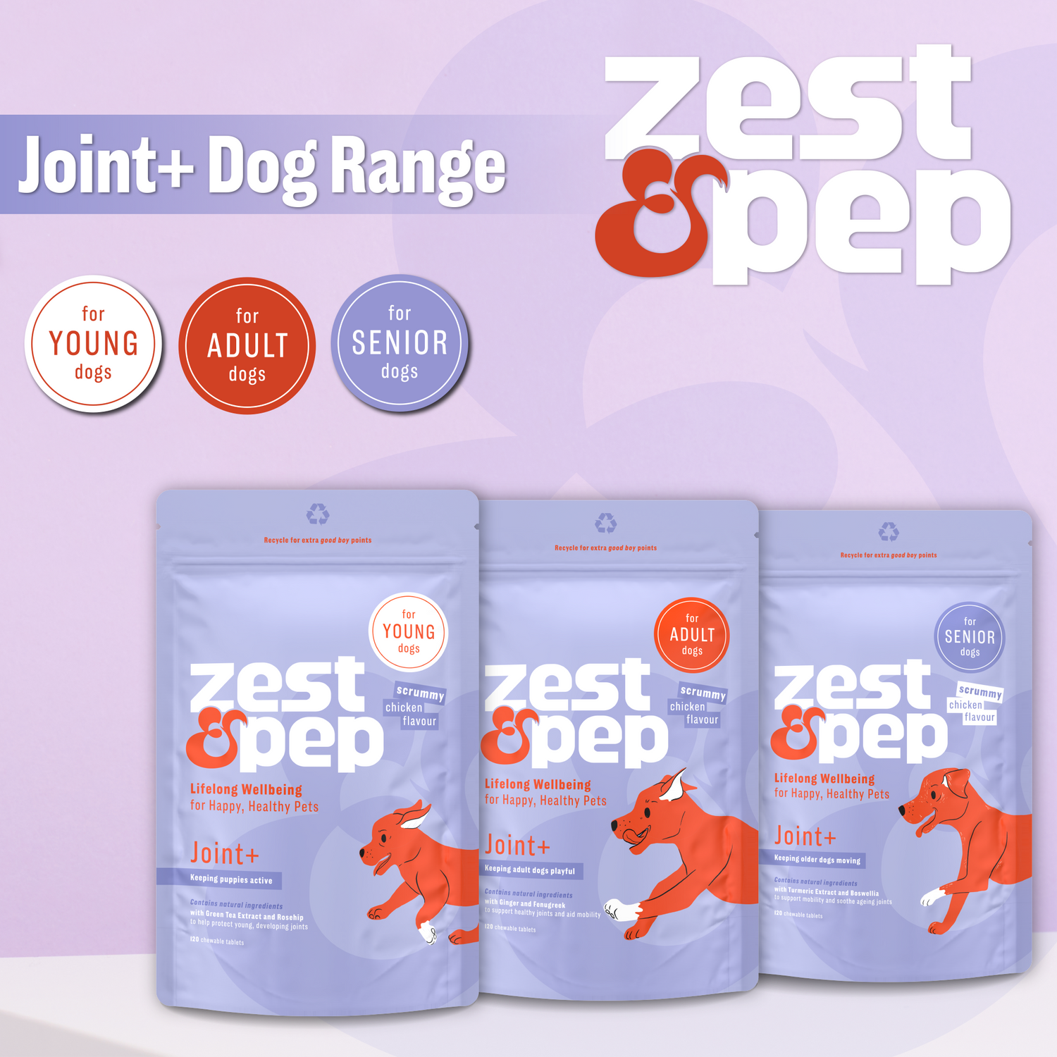 Joint & Hip Supplement For Younger Dogs