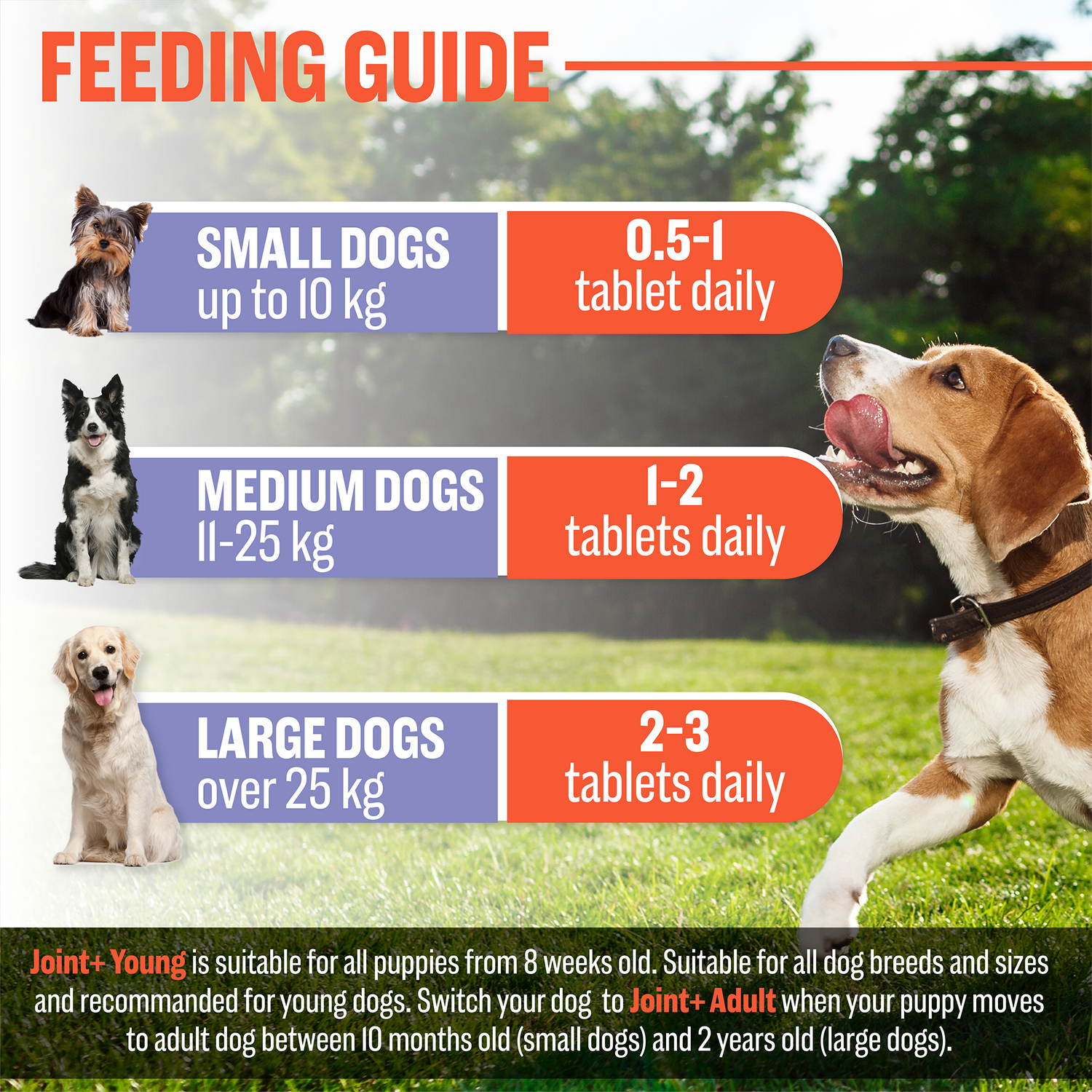 Joint & Hip Supplement For Younger Dogs