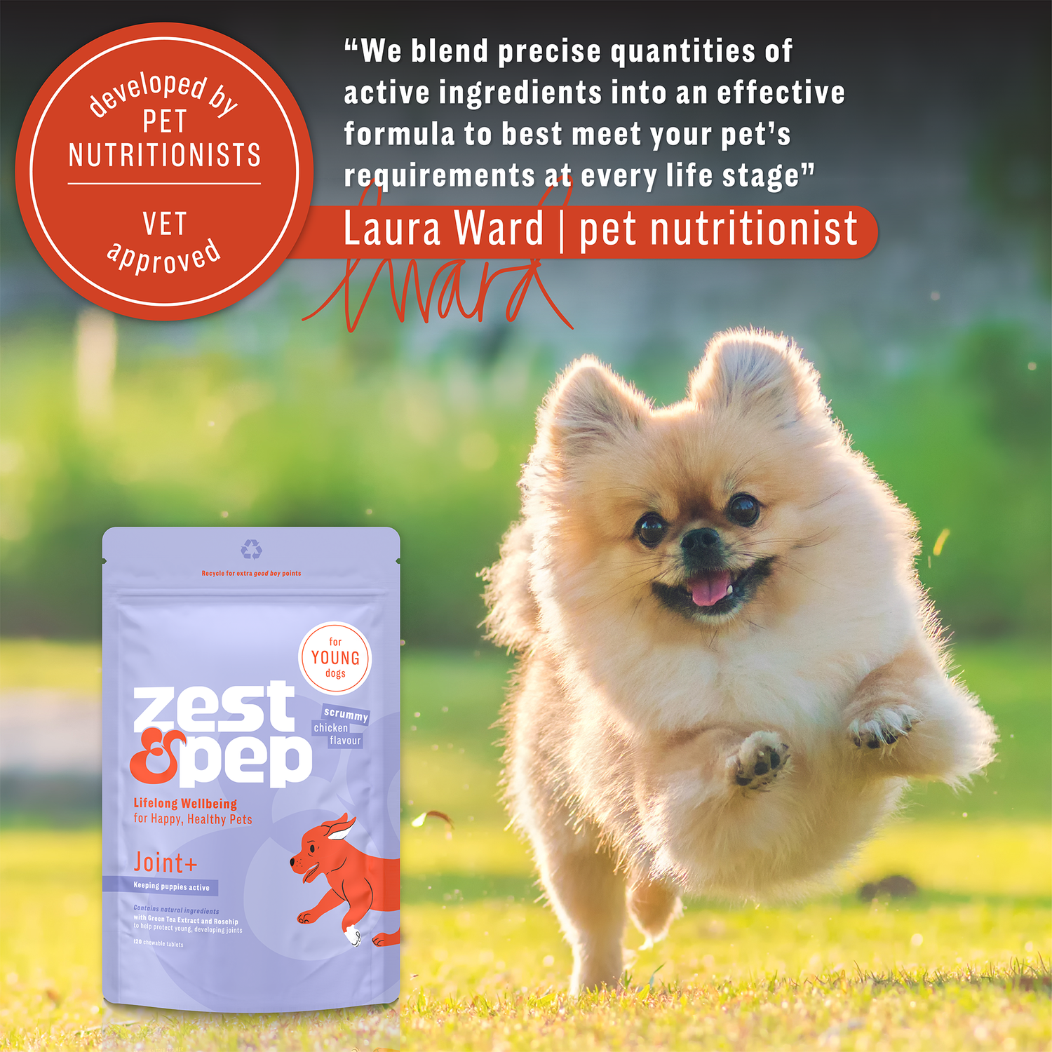 Joint & Hip Supplement For Younger Dogs