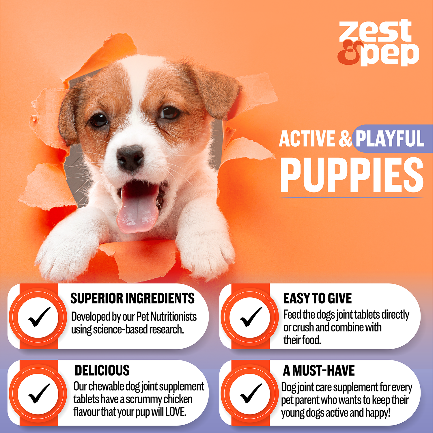 Joint & Hip Supplement For Younger Dogs