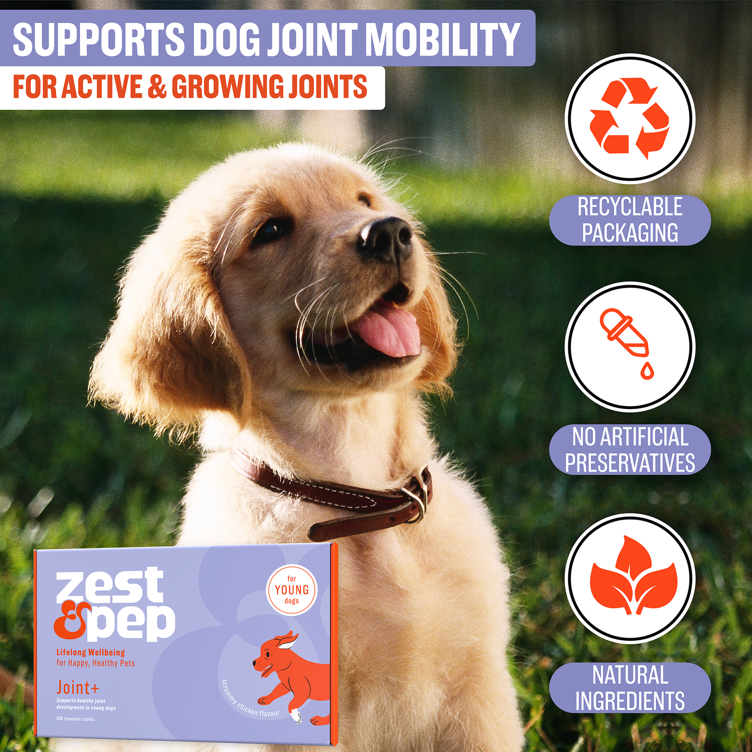 Joint & Hip Supplement For Younger Dogs
