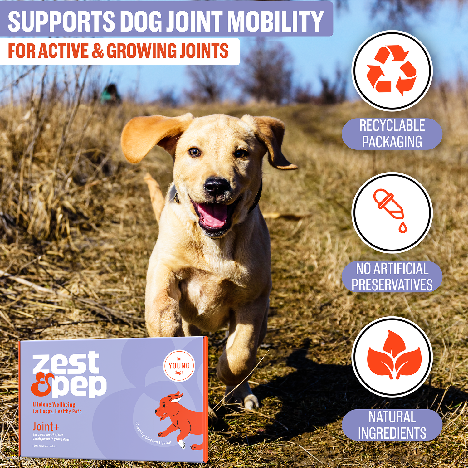 Joint & Hip Supplement For Younger Dogs