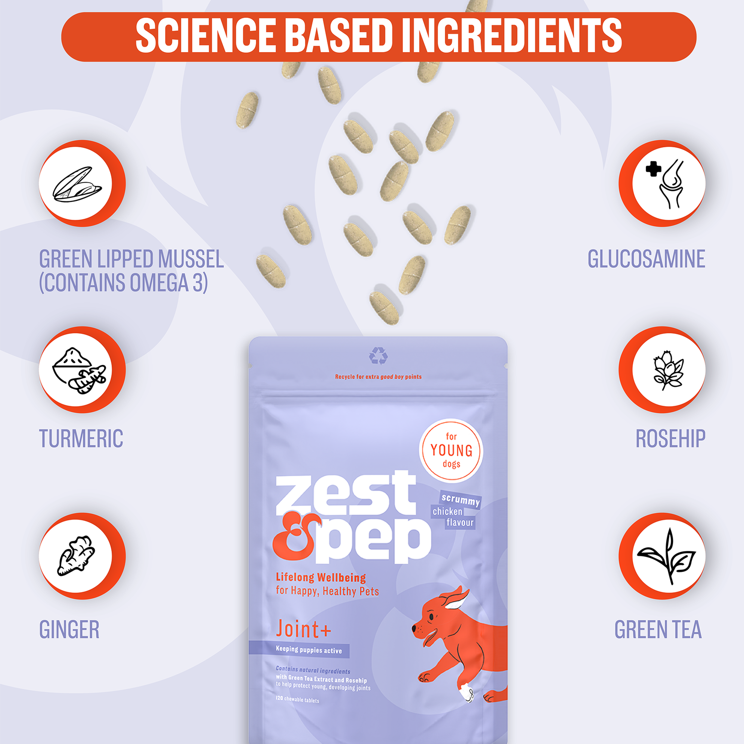 Joint & Hip Supplement For Younger Dogs