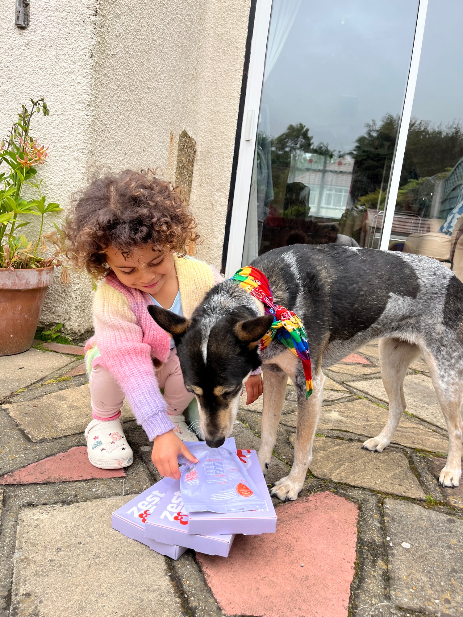 Joint & Hip Supplement For Adult Dogs