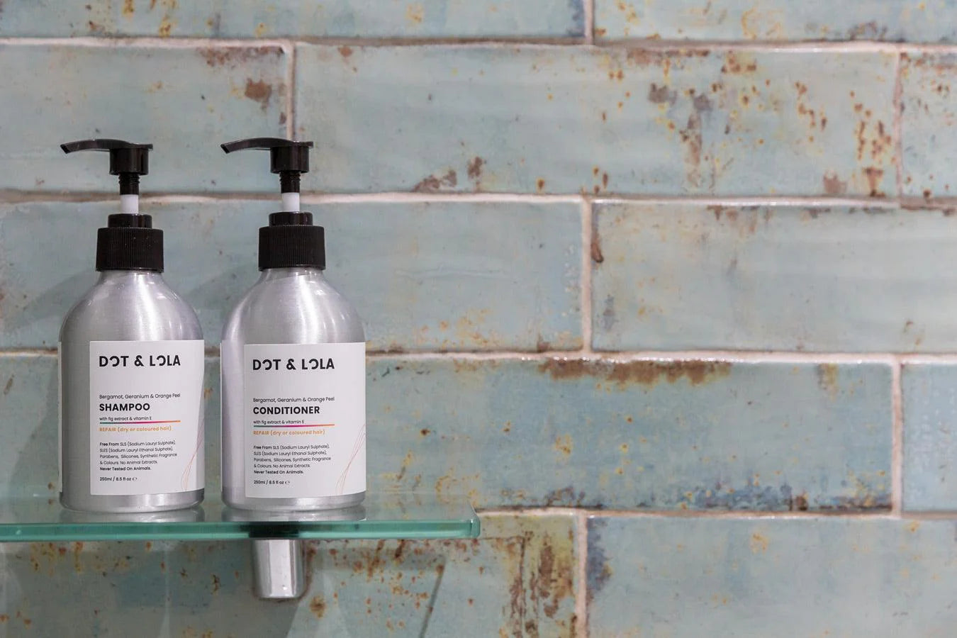 Repair Conditioner - OlyaStudio